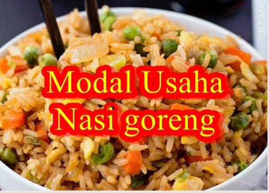 Modal Usaha Nasi Goreng